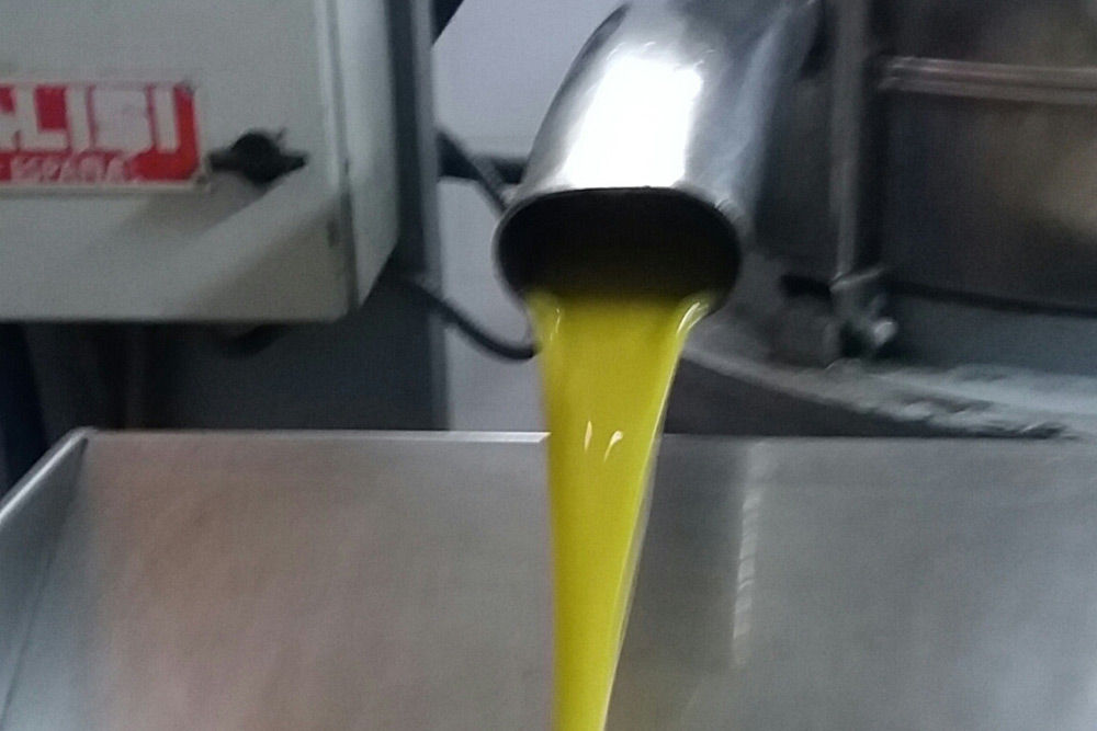 aceite de oliva virgen extra montes de toledo montearagon